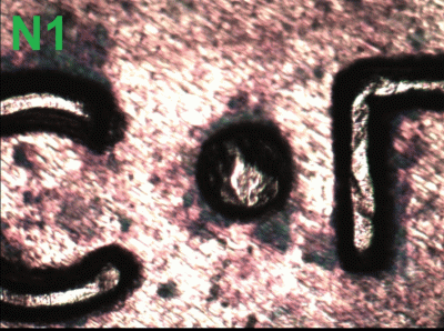 N1.gif