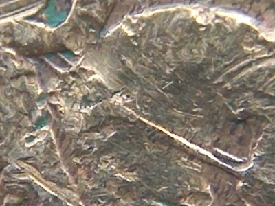 20240525_143949.jpg
