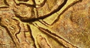 1727774016909.jpg