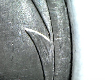 IMG-20250224-WA0005.jpg