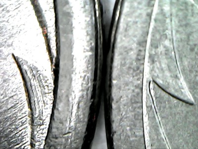 IMG-20250224-WA0011.jpg