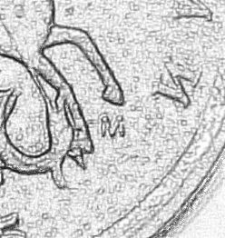 86d3b29524454f329ef0cef46c2fac0f.gif