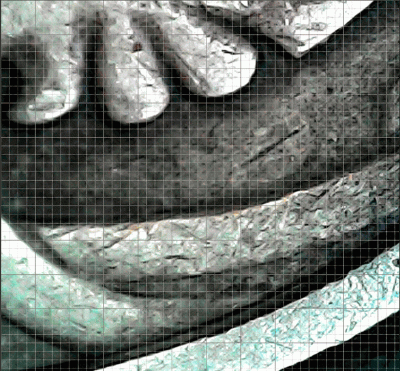 01.gif