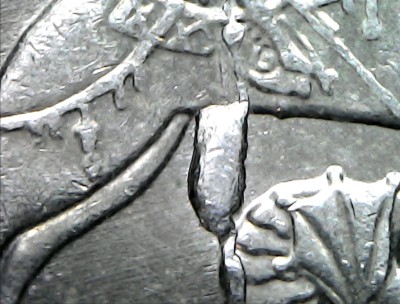 IMG-20251015-WA0000.jpg