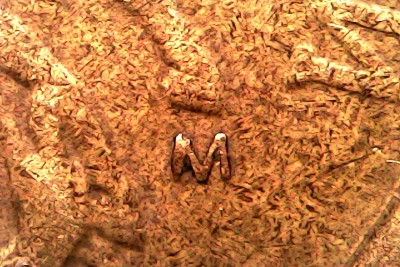 Sun Feb 15 18-17-15.jpg