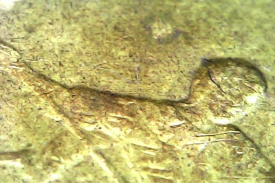 Wed Feb 18 18-52-50.jpg