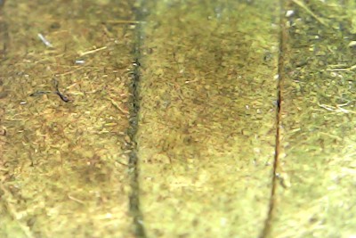 Wed Feb 18 18-53-45.jpg