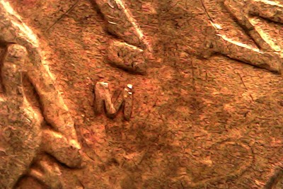 Sun Mar 15 17-44-06.jpg