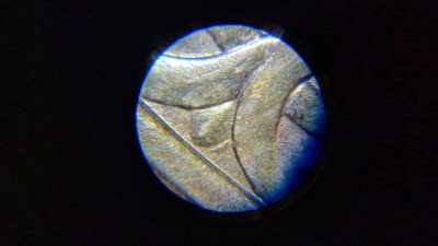20261003_173145.jpg