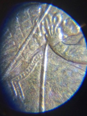 20261004_230607.jpg