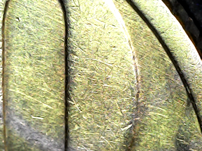 Screenshot_2026_10_09-6.png