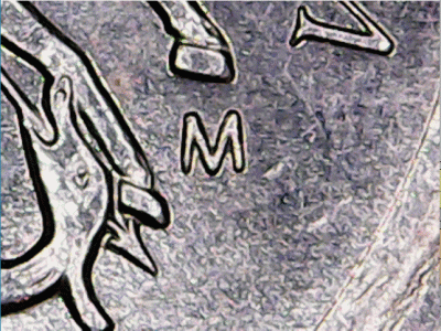 аниме2.gif