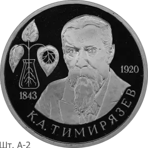 TimA-2